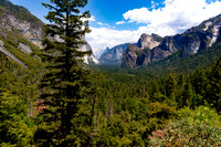 Yosemite National Park